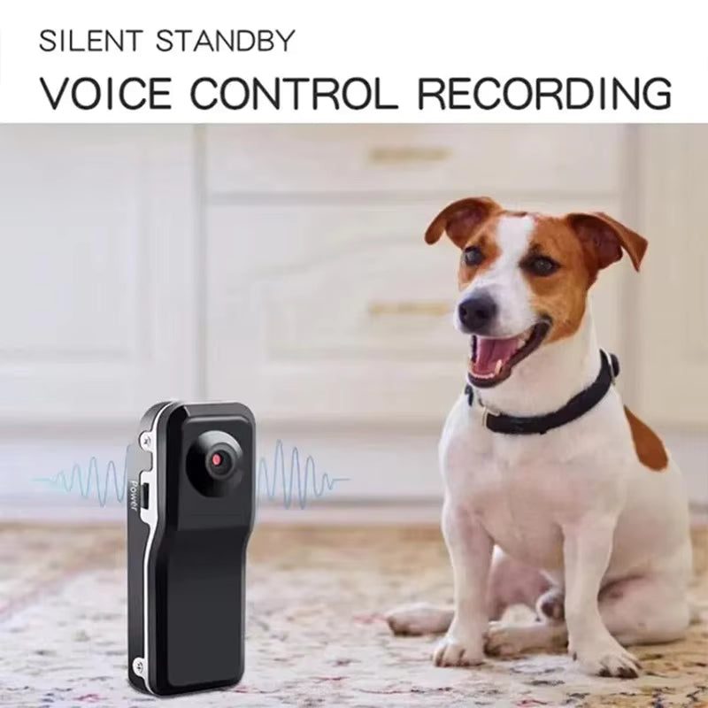Mini DV Camera Voice Recorder / Mini DV Sports Video Recorder – Hidden Spy Camera to Monitor Babysitters, Children, Staff, and Deter Thieves, Multicolor.